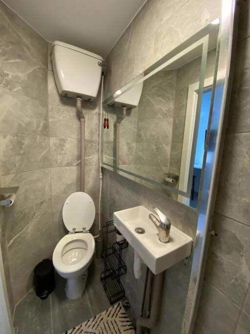 One Bedroom Putney Village Flat 伦敦 外观 照片