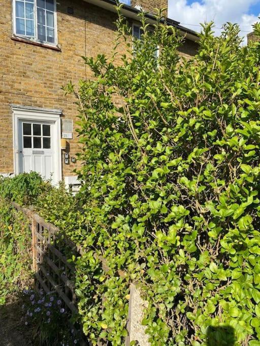 One Bedroom Putney Village Flat 伦敦 外观 照片