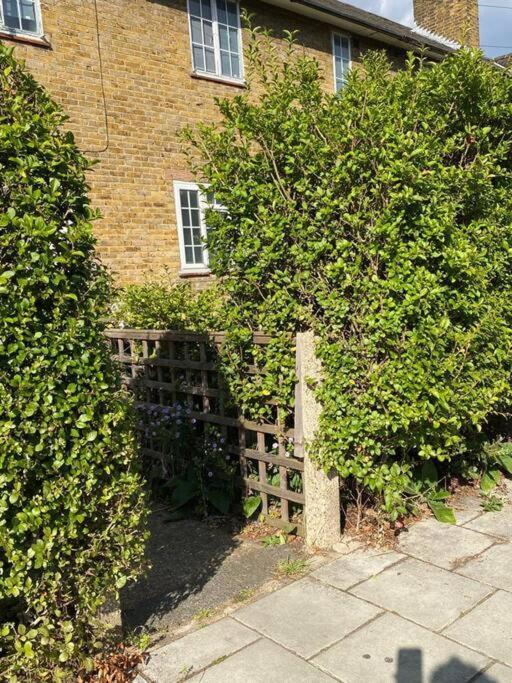 One Bedroom Putney Village Flat 伦敦 外观 照片