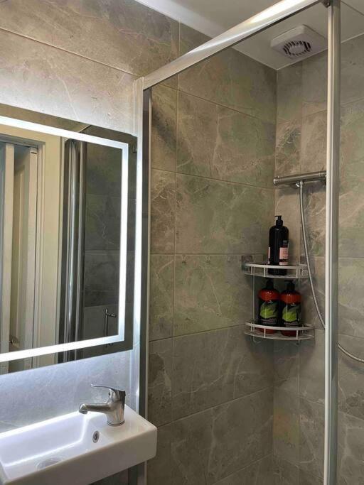 One Bedroom Putney Village Flat 伦敦 外观 照片