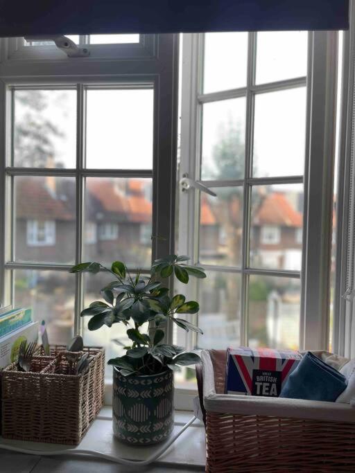 One Bedroom Putney Village Flat 伦敦 外观 照片