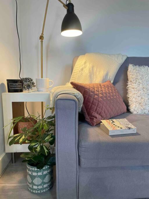 One Bedroom Putney Village Flat 伦敦 外观 照片