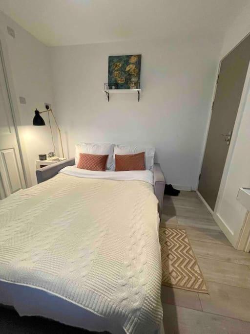 One Bedroom Putney Village Flat 伦敦 外观 照片